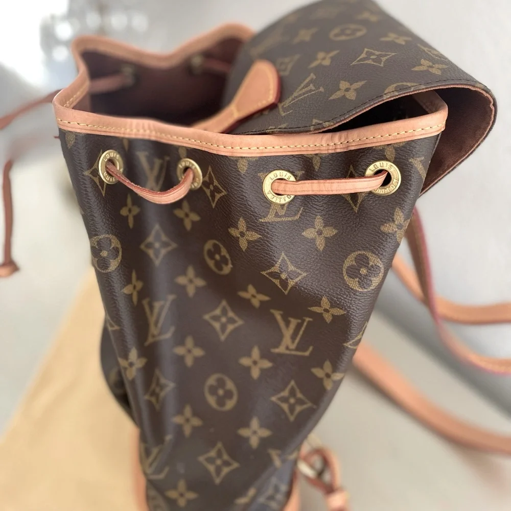 Louis Vuitton Montsouiris Backpack PM - Picture 4 of 16